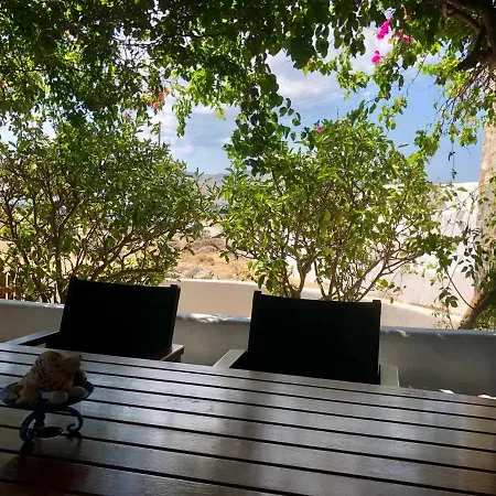 Lovely And Homely Mykonian *