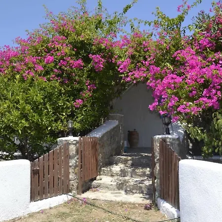 Lovely And Homely Mykonian * Panormos (Mykonos)